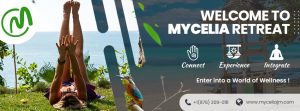 Mycelia Ad banner Image 2022 09 17 at 11.35.41 300x111